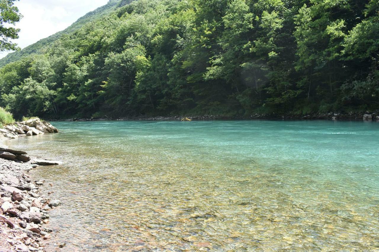 Tara Inn Resort Bastasi Zewnętrze zdjęcie