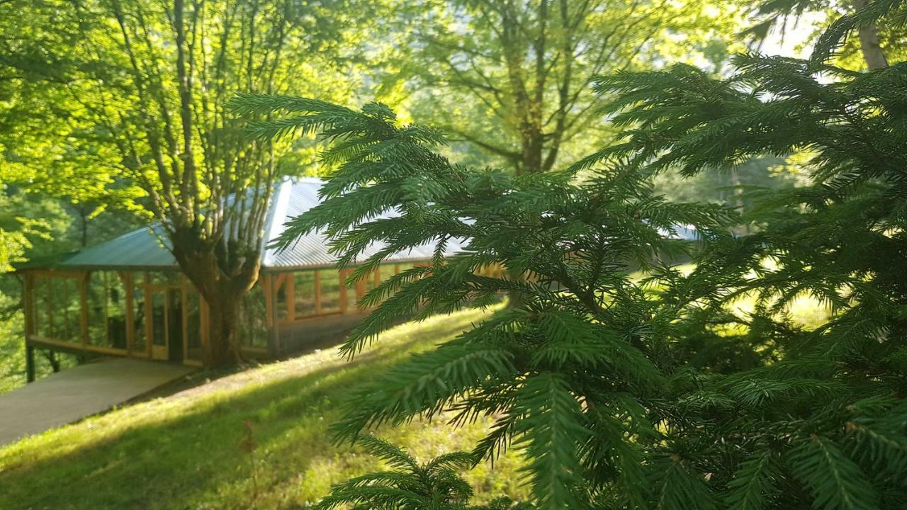 Tara Inn Resort Bastasi Zewnętrze zdjęcie